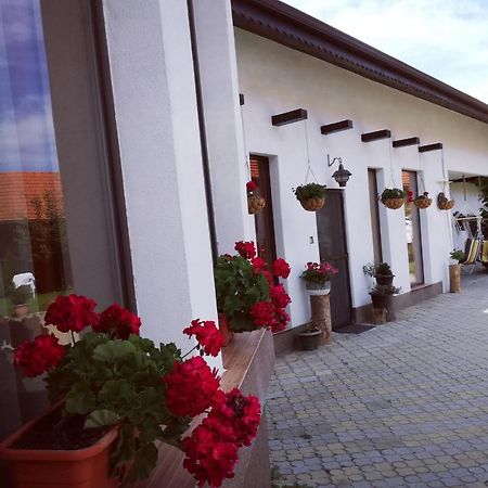 Dridif 135 Bed & Breakfast Eksteriør bilde