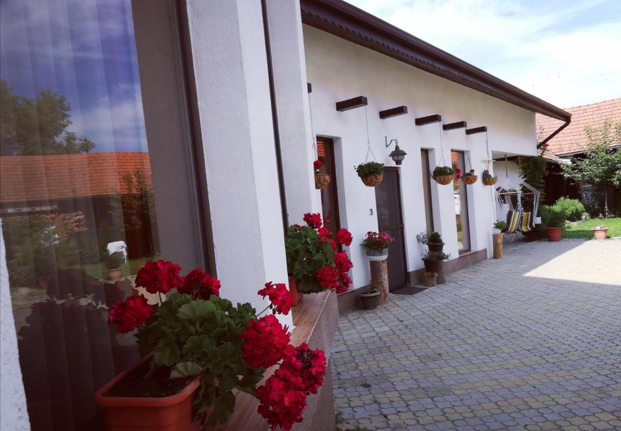 Dridif 135 Bed & Breakfast Eksteriør bilde